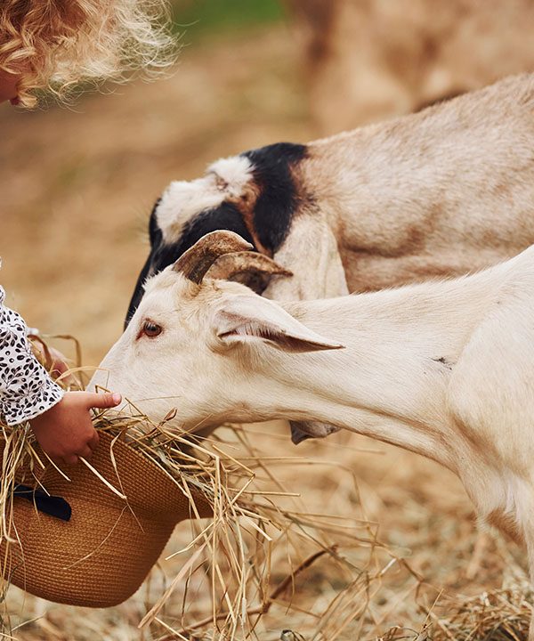 طبیعت‌گردی با کودکان